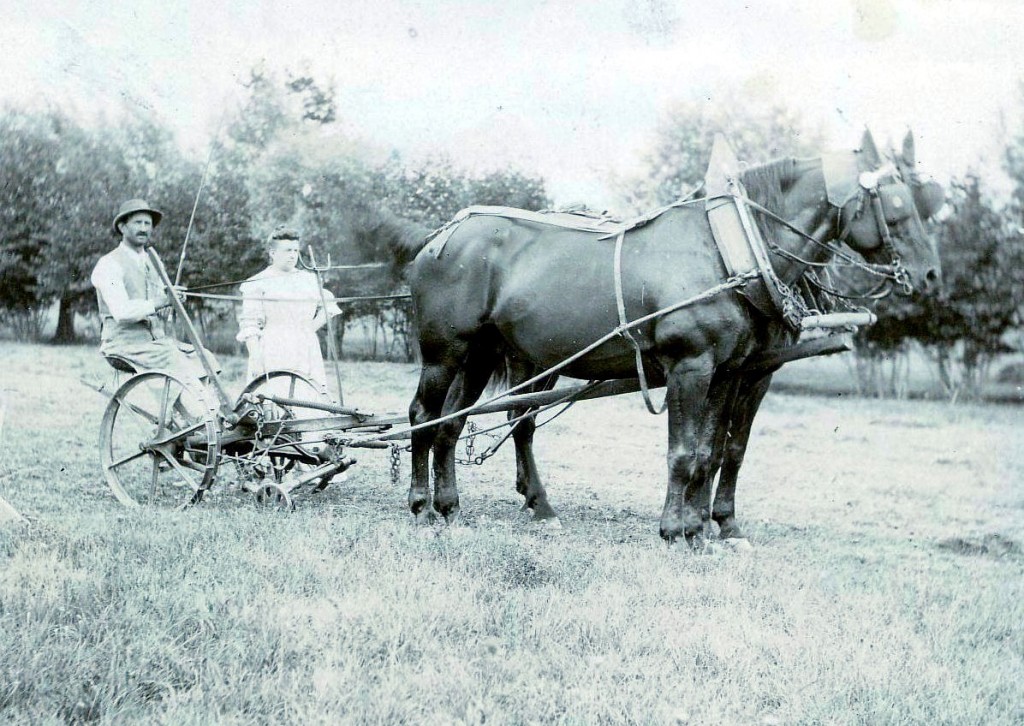 1905 La première faucheuse. X, Mme Monnier Ducastel. Dans le pré, au fond le ruisseau, photo prise en direction du N-O