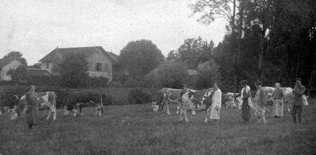 Le troupeau et la ferme, 1925